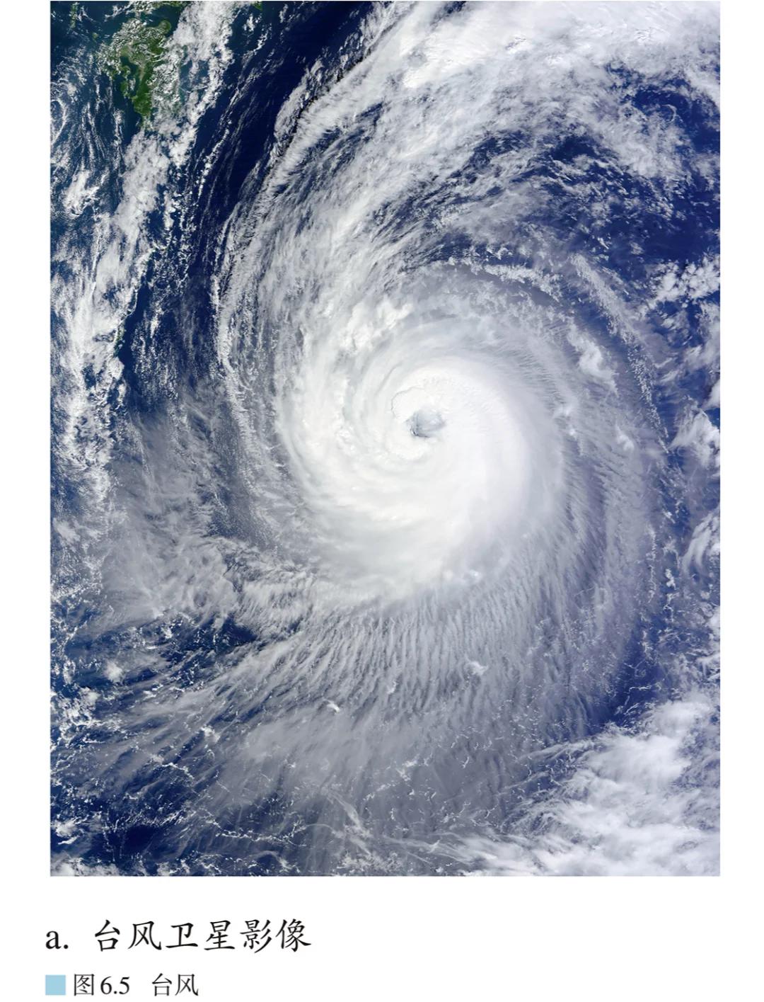 毕尔巴鄂竞技阵容 毕尔巴鄂竞技阵容